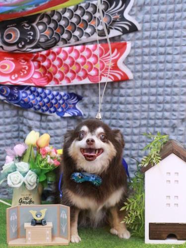 20230510ちゃこちゃん